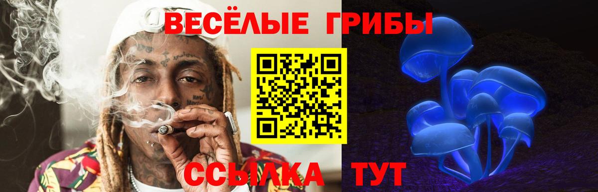 Галлюциногенные грибы Psilocybe  Вход с VPN  Миасс 